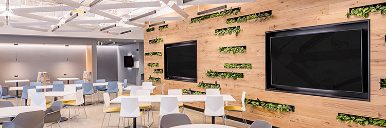 Avail Project Management completes 75,000 s/f office renovation for security industry leader Axis Communications